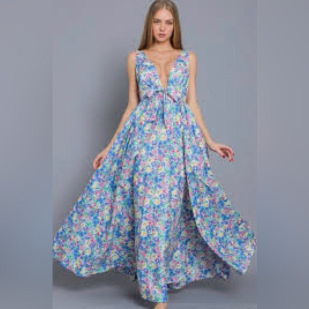 NWT Aakaa Floral SLEEVELESS maxi dress  with plume neck that ties size s…